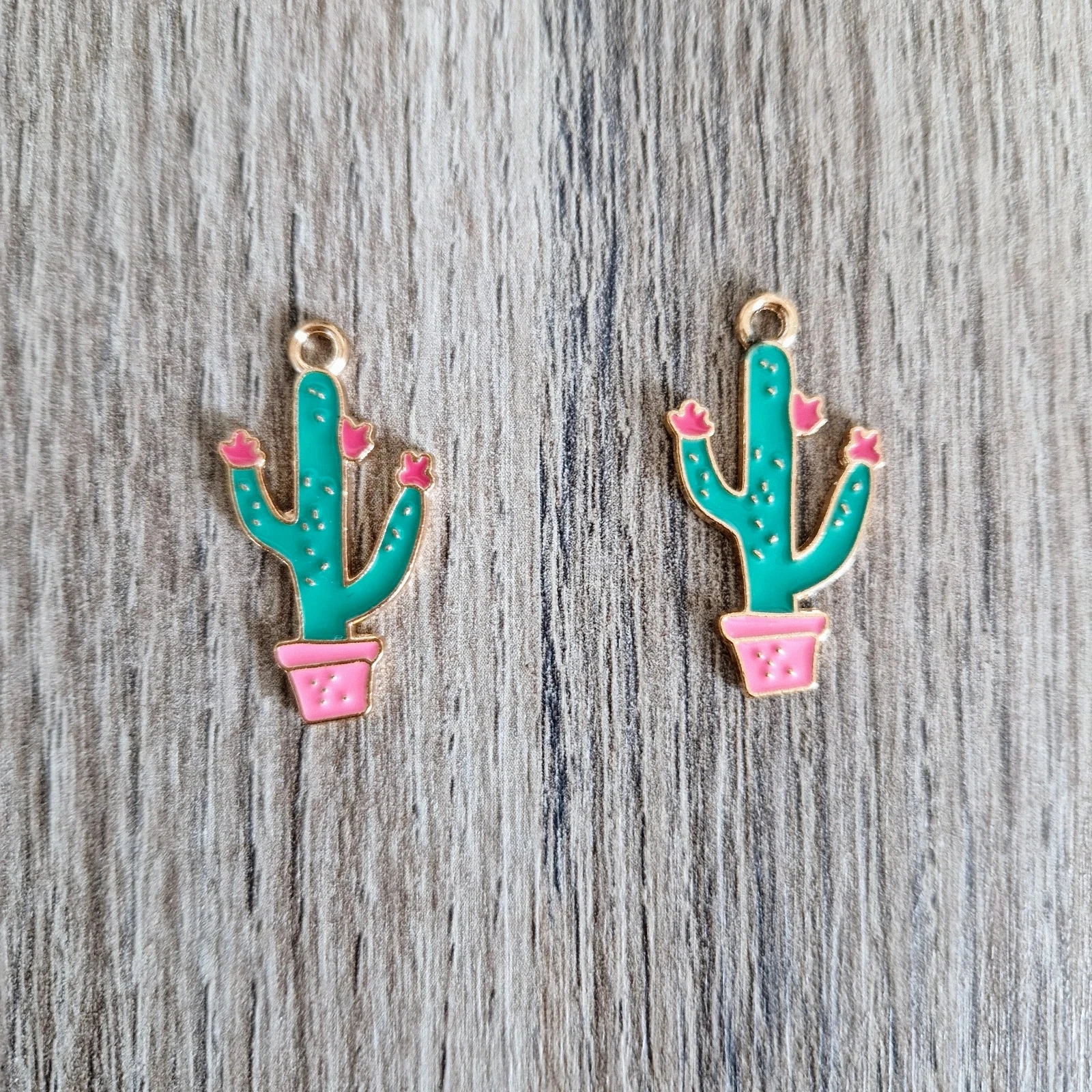 Lot de 2 breloques/ pendentifs cactus